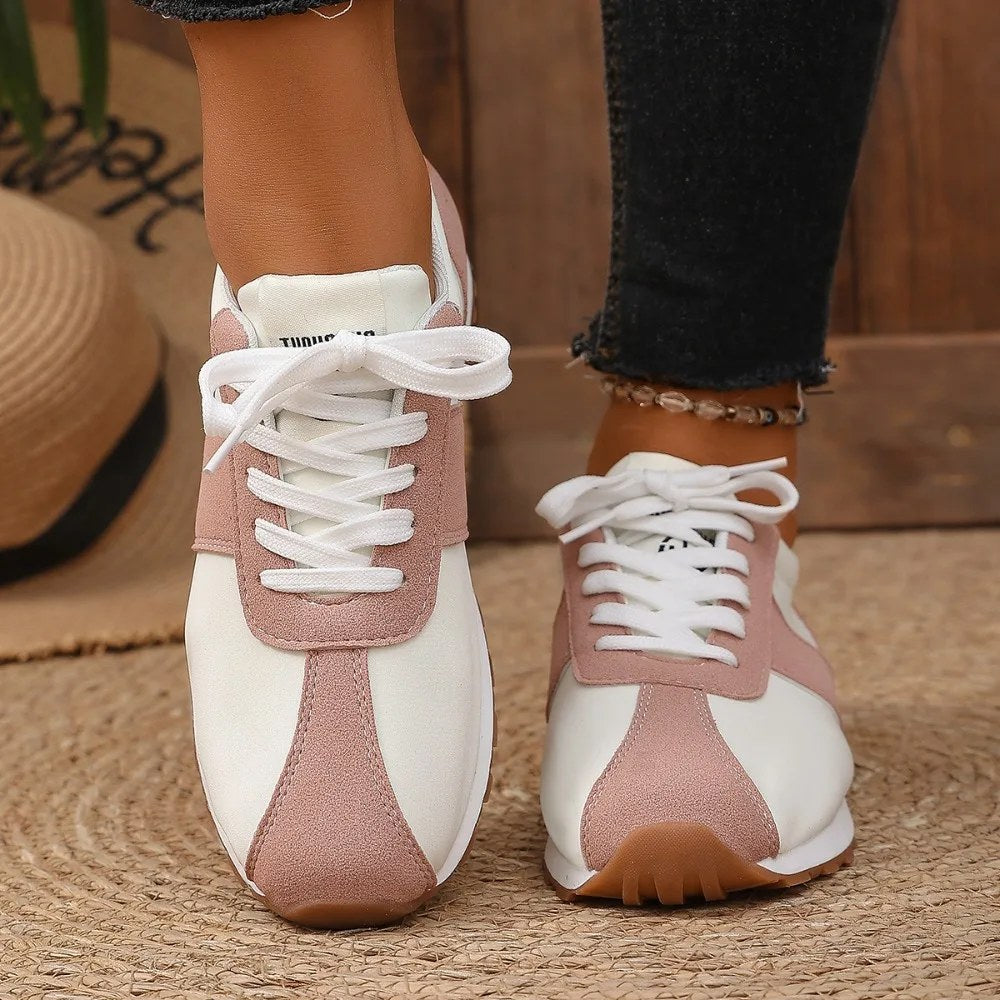 alishop:cd926a8743ed