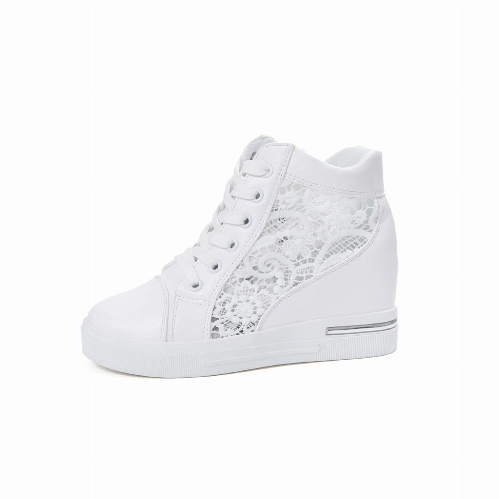 alishop:00cc2220a0aa